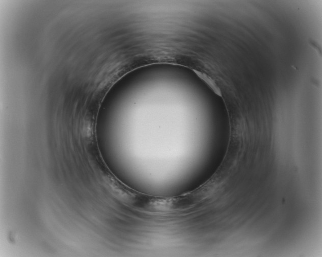 X0000099400084200805151715