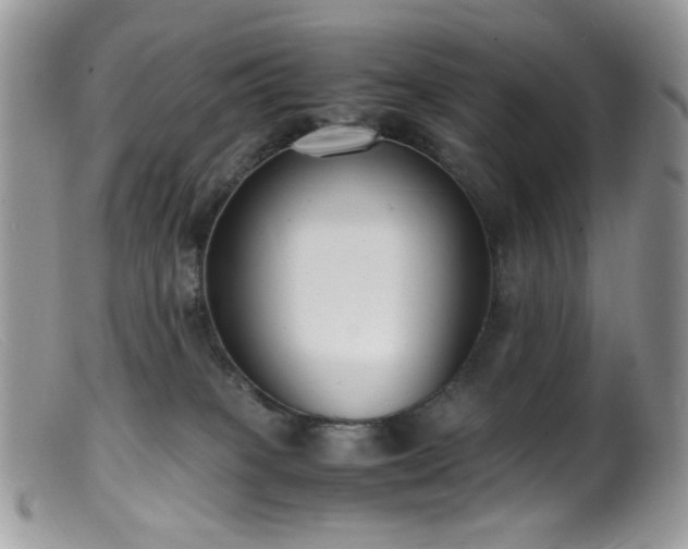 X0000099400085200805151715