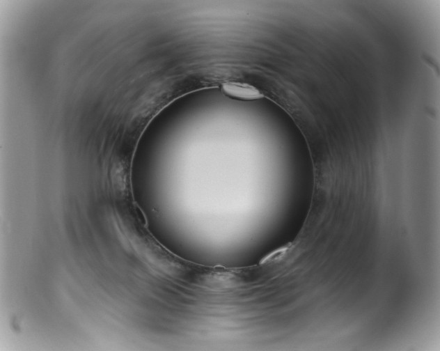 X0000099400086200805151715