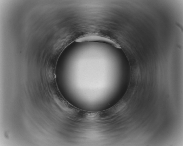 X0000099400088200805151715