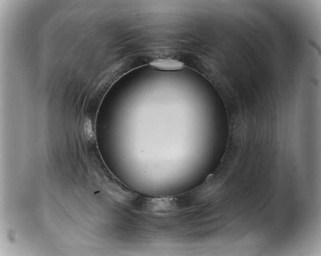 X0000099400089200805151715