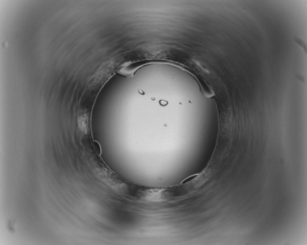 X0000099400090200805151715