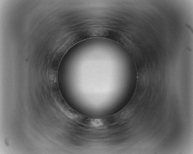 X0000099400091200805151715