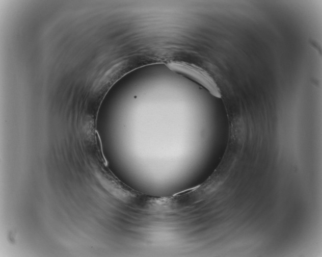 X0000099400092200805151715