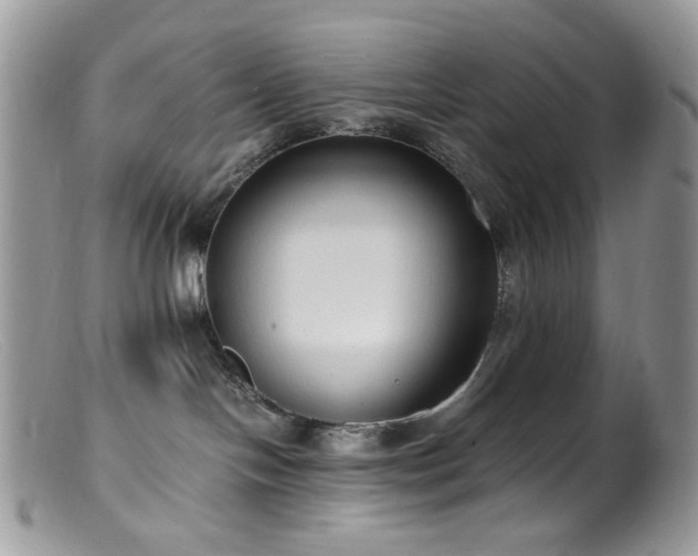 X0000099400094200805151715