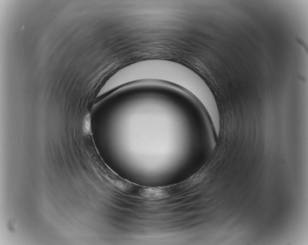 X0000099400095200805151715