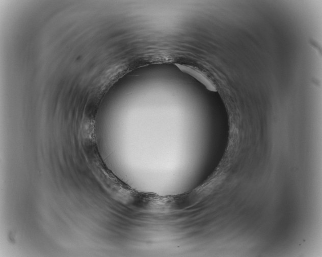 X0000099400096200805151715