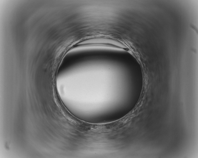 X0000099400097200805151714