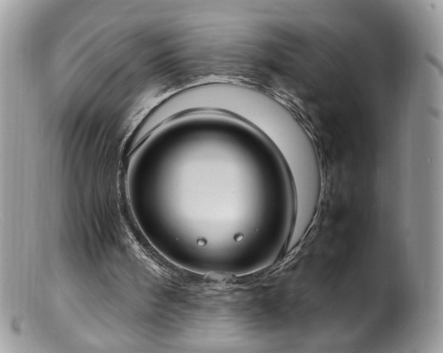 X0000099400098200805151714