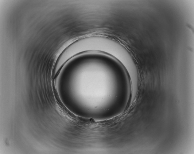 X0000099400100200805151714