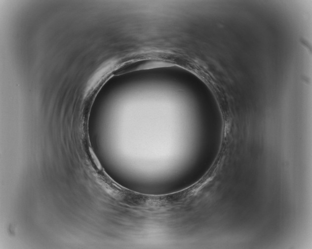 X0000099400101200805151714