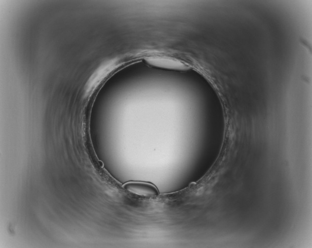 X0000099400103200805151714