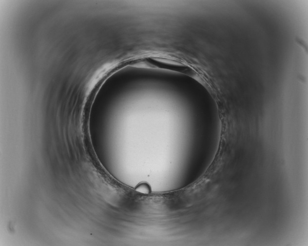 X0000099400104200805151714