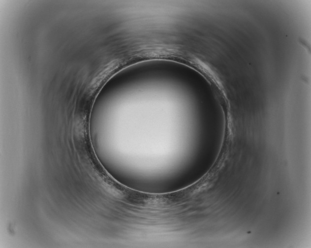 X0000099400105200805151714