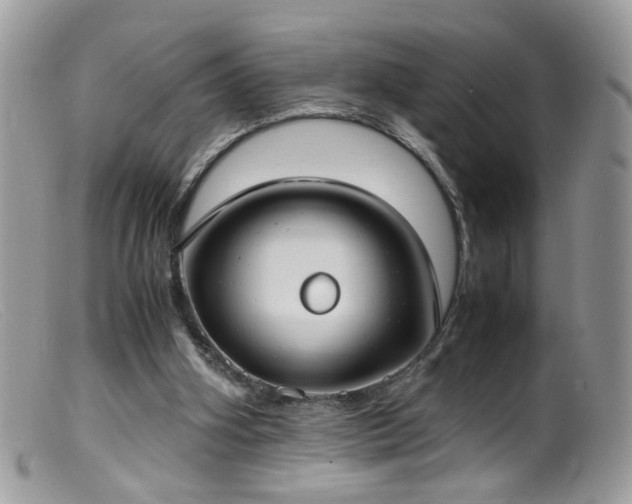 X0000099400106200805151714