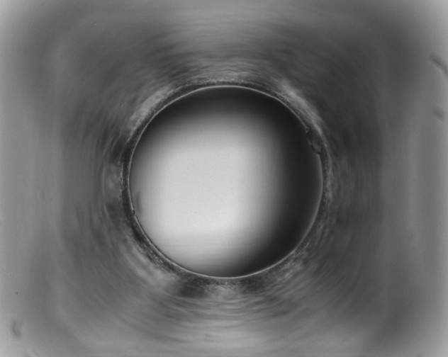 X0000099400107200805151714