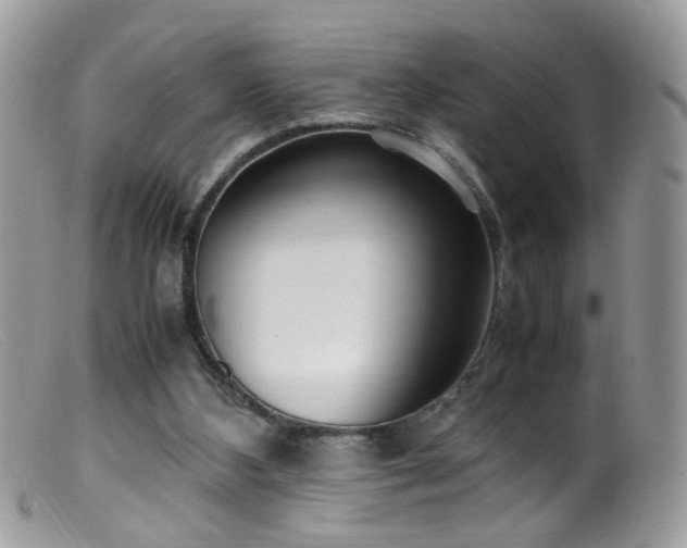 X0000099400108200805151714