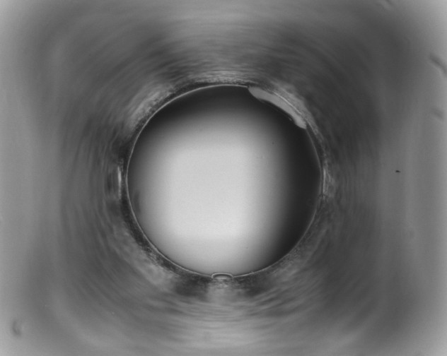 X0000099400109200805151714