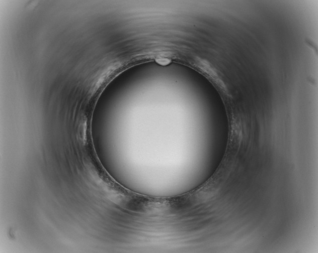 X0000099400110200805151714