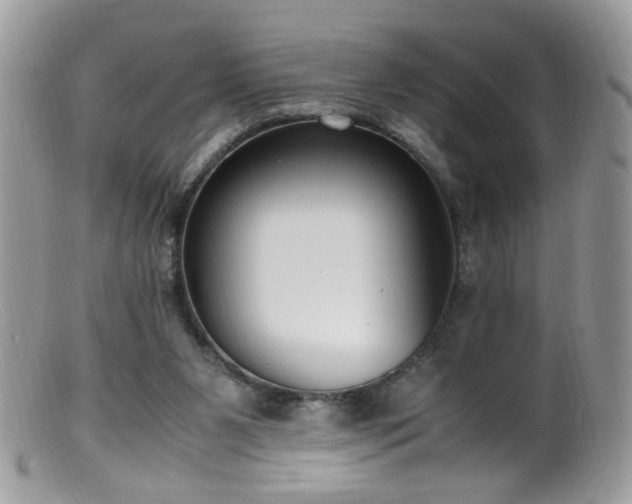 X0000099400111200805151714