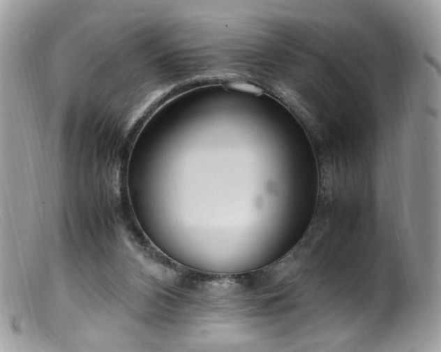 X0000099400112200805151714