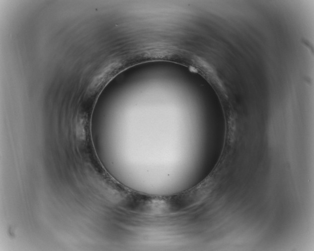 X0000099400114200805151714