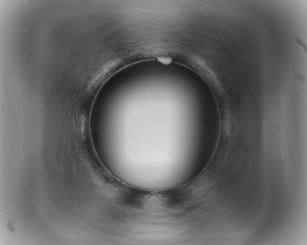 X0000099400115200805151714