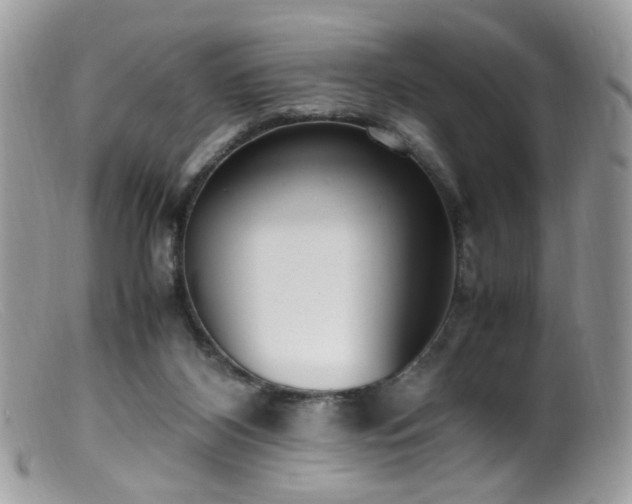 X0000099400116200805151714