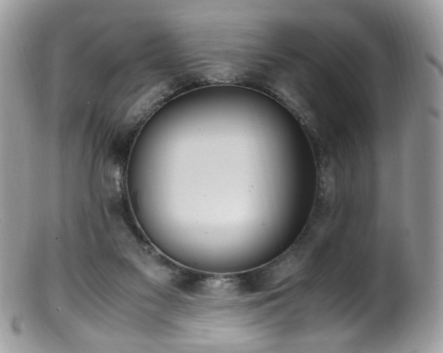 X0000099400117200805151714