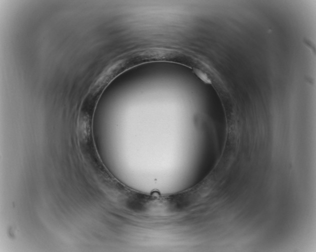 X0000099400119200805151714