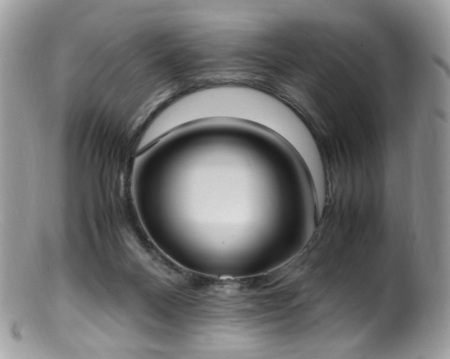 X0000099400120200805151714