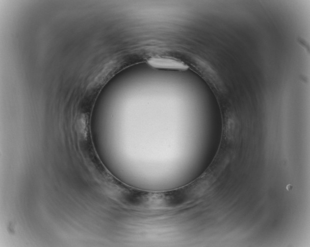 X0000099400121200805151714