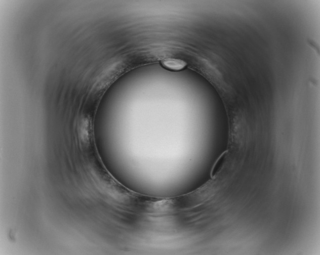 X0000099400122200805151714