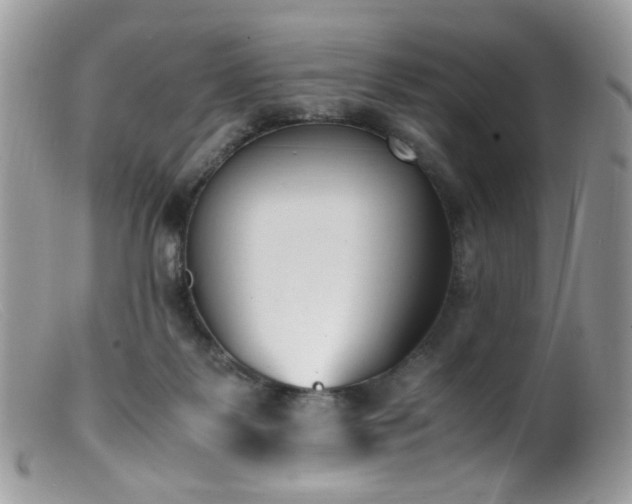 X0000099400123200805151714