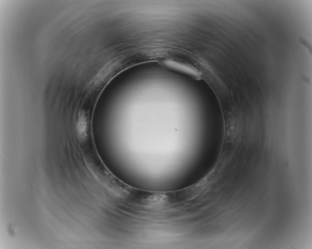 X0000099400124200805151714