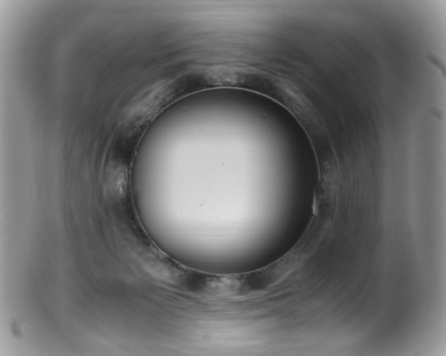 X0000099400125200805151714