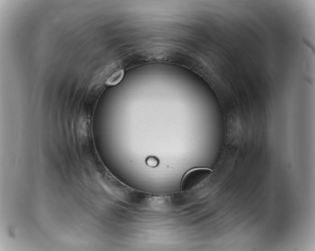 X0000099400126200805151714