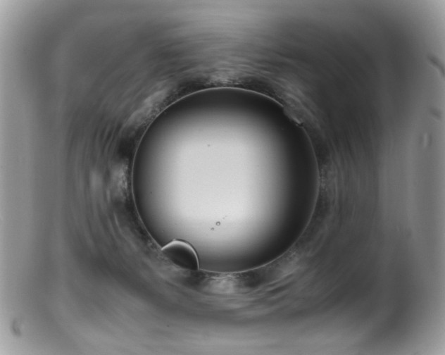 X0000099400127200805151714