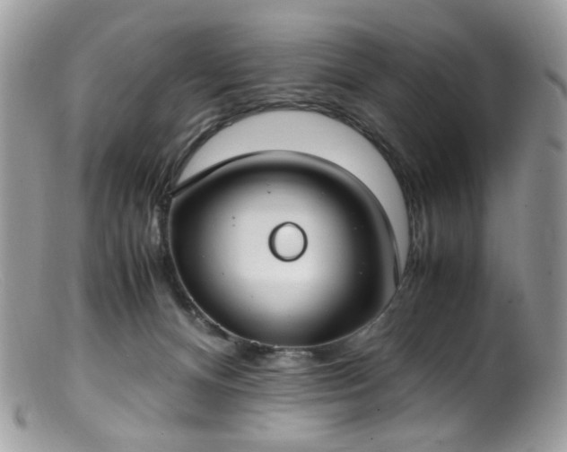 X0000099400128200805151714