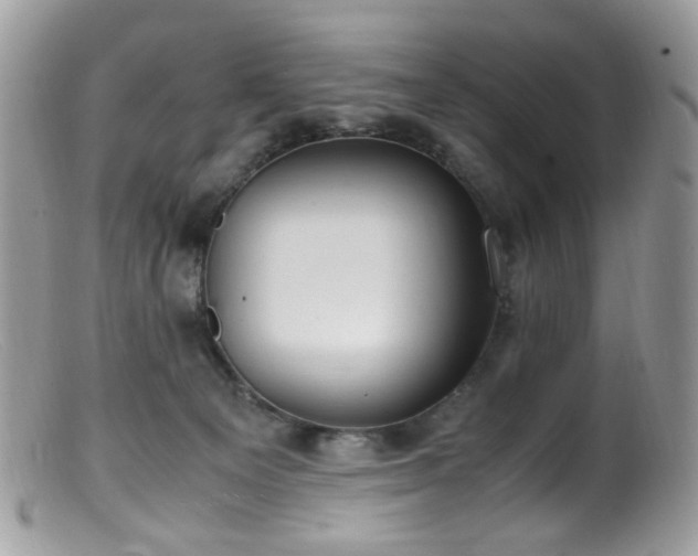 X0000099400129200805151714