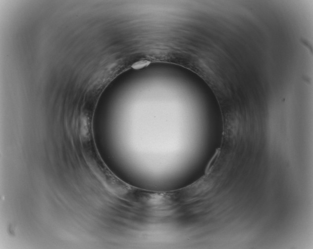 X0000099400130200805151714