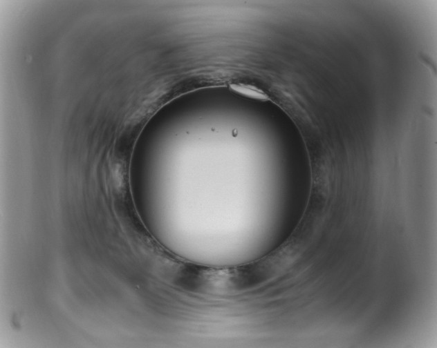 X0000099400131200805151714