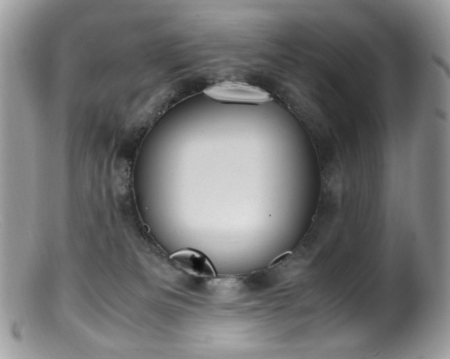 X0000099400133200805151714