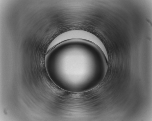 X0000099400134200805151714