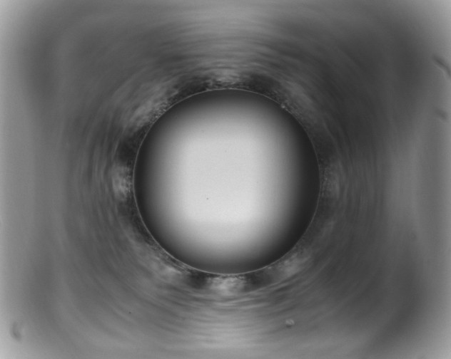 X0000099400135200805151714