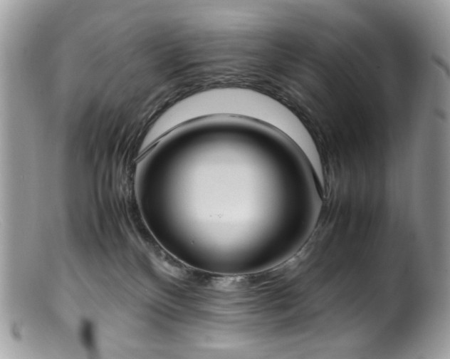 X0000099400136200805151714