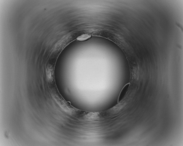 X0000099400138200805151714