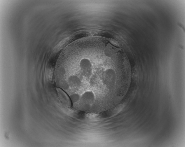 X0000099400139200805151714