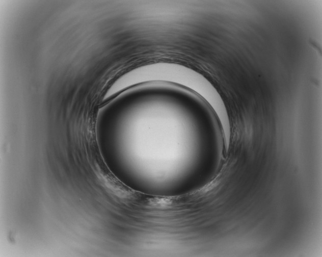 X0000099400140200805151714