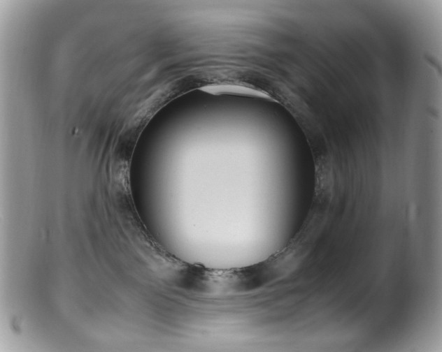 X0000099400141200805151714